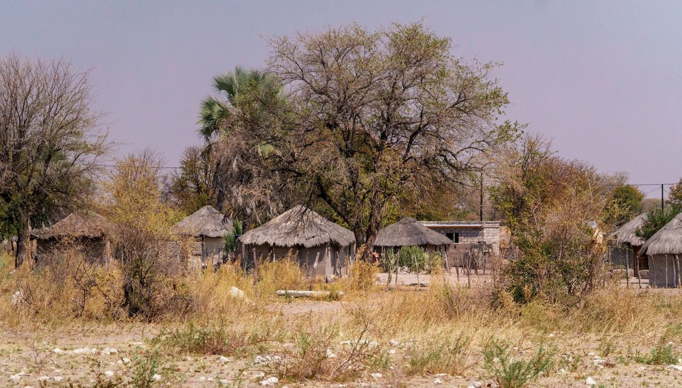 Thatched huts of a rural homestead among trees
