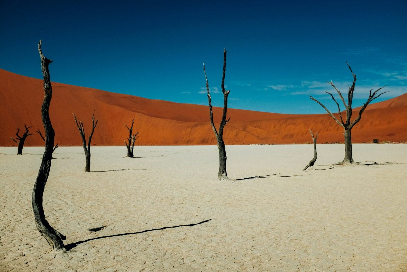 Dead camel-thorn trees on the white clay pan of Deadvlei beneath red dunes and a deep blue sky